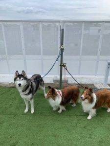 係留イメージ