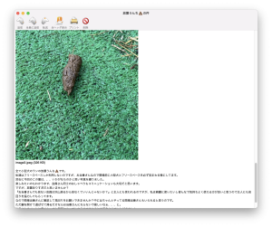 放置うんち報告4